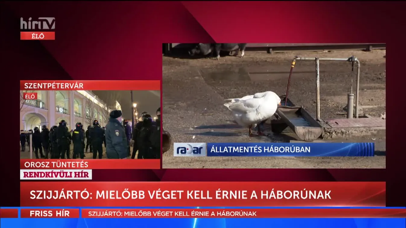 Radar - Állatmentés háborúban (2022-03-02)