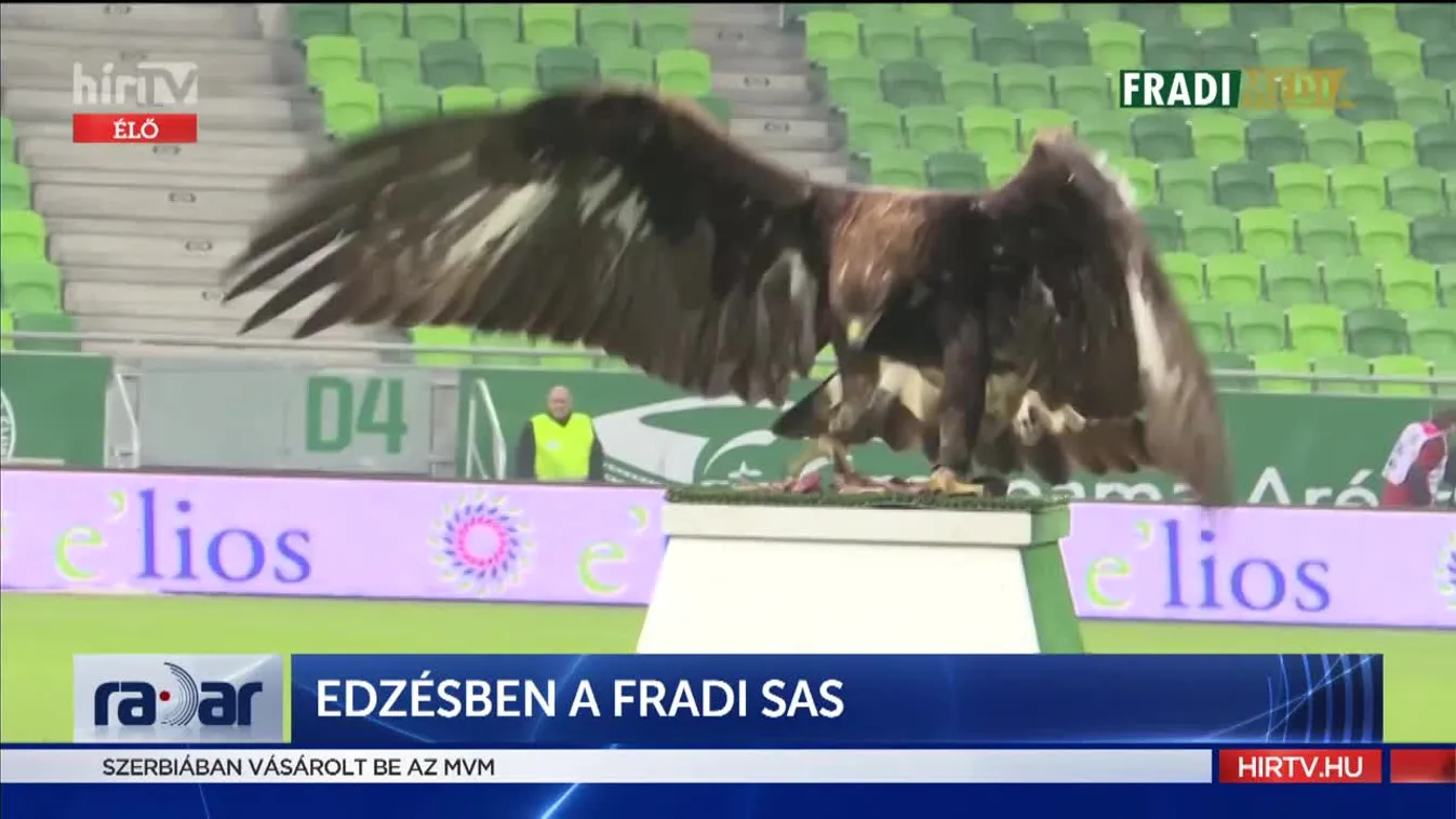 Radar - Edzésben a Fradi sas (2022-03-17)