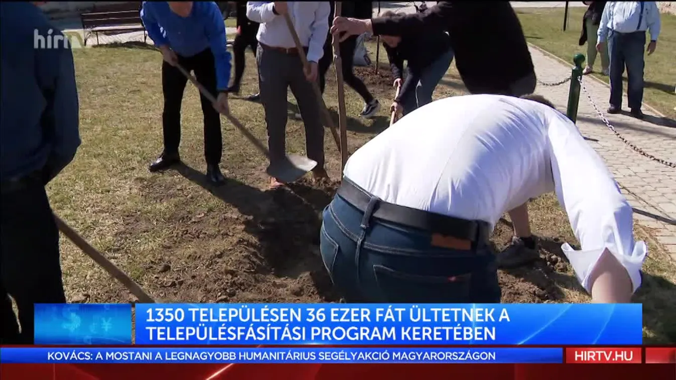 1350 településen 36 ezer fát ültetnek a településfásítási program keretében