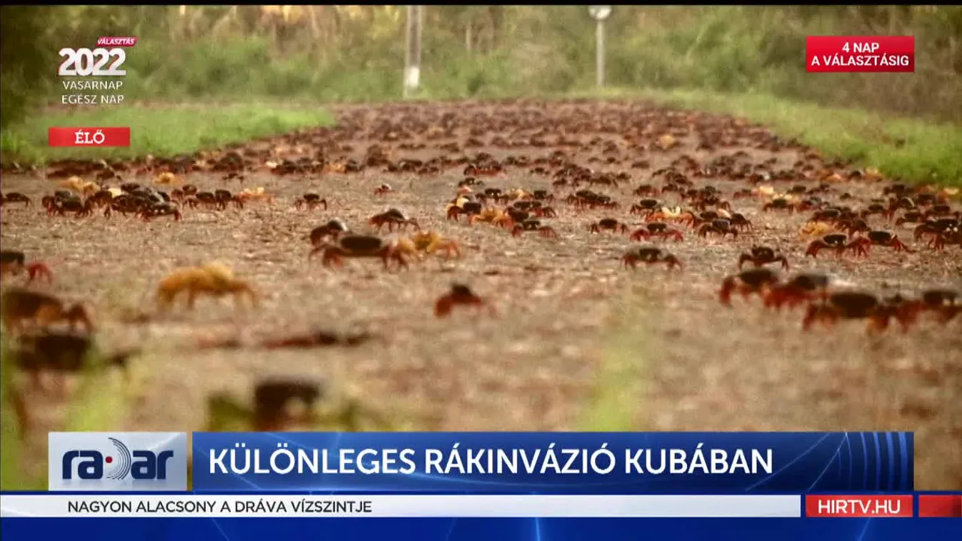 Radar - Rákinvázió Kubában (2022-03-30)