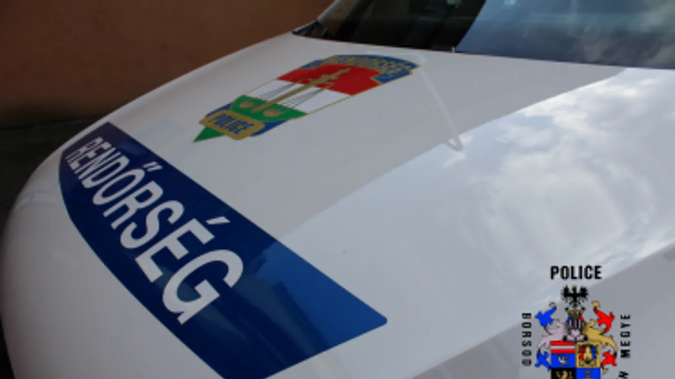 Csalásban is társak