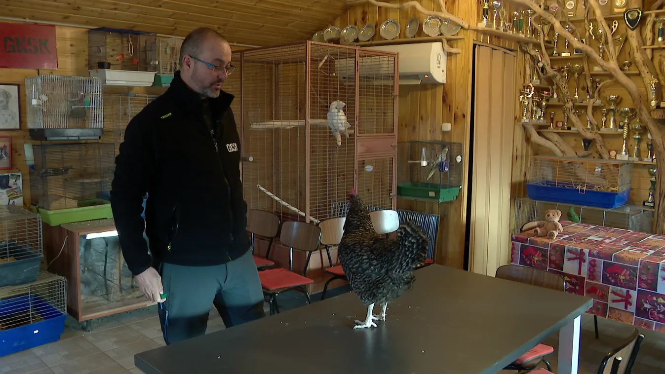 Radar - Minden állat tanítható