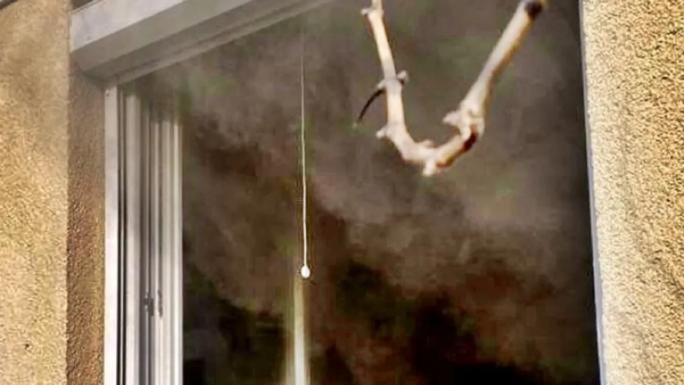 Életmentő rendőrök