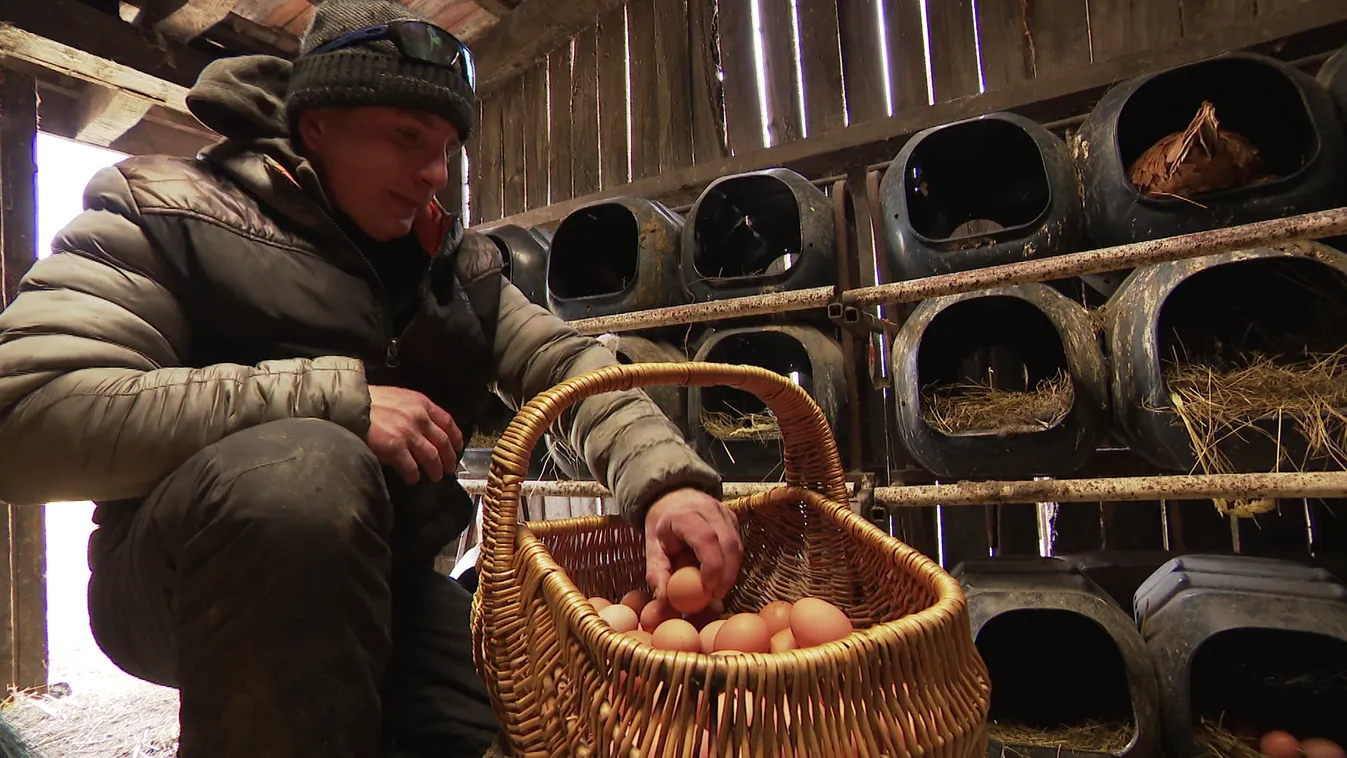 Radar - Minden nap küzdelem, de ez élteti