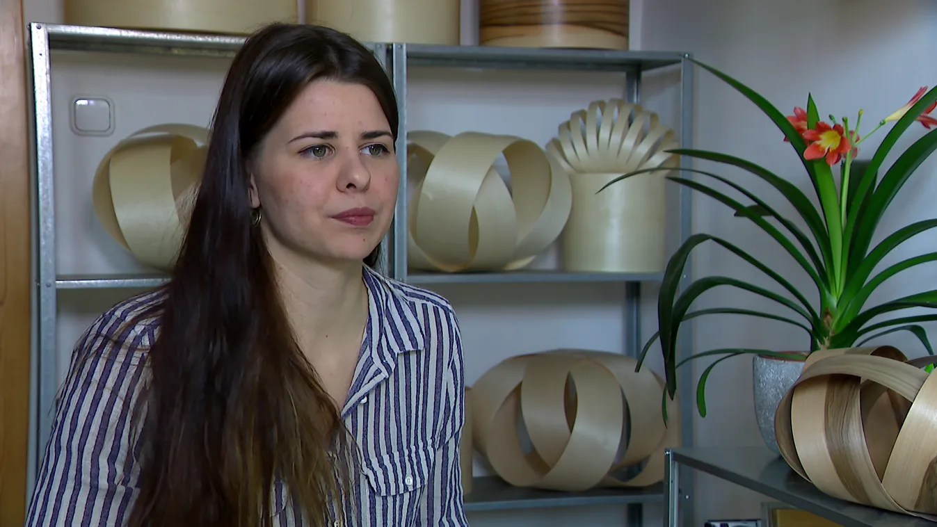 Radar - Fény és fa összjátéka