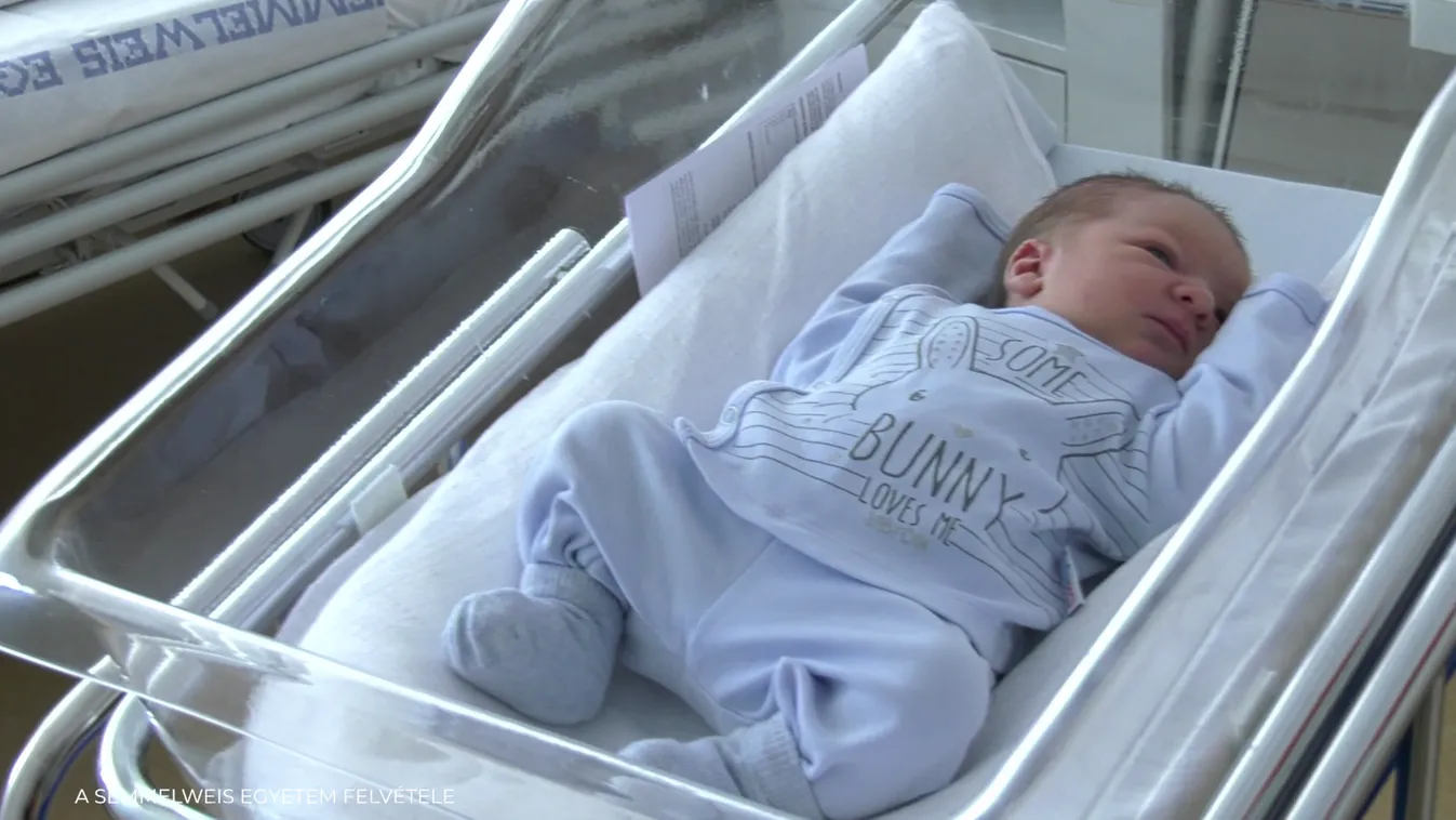 Mozaik - Csecsemők születnek a háborúban