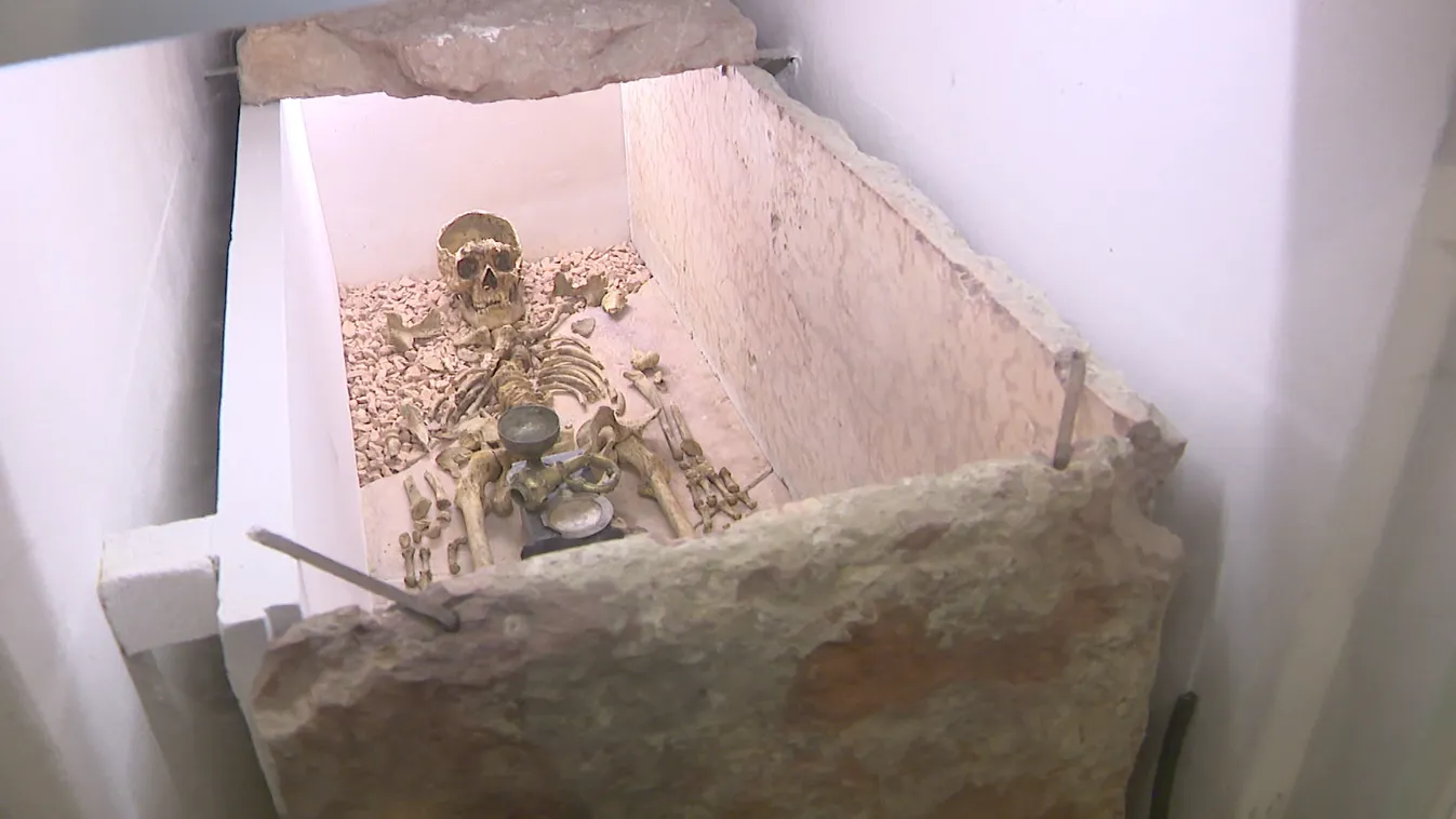 Radar - Exkluzív régészeti leletek