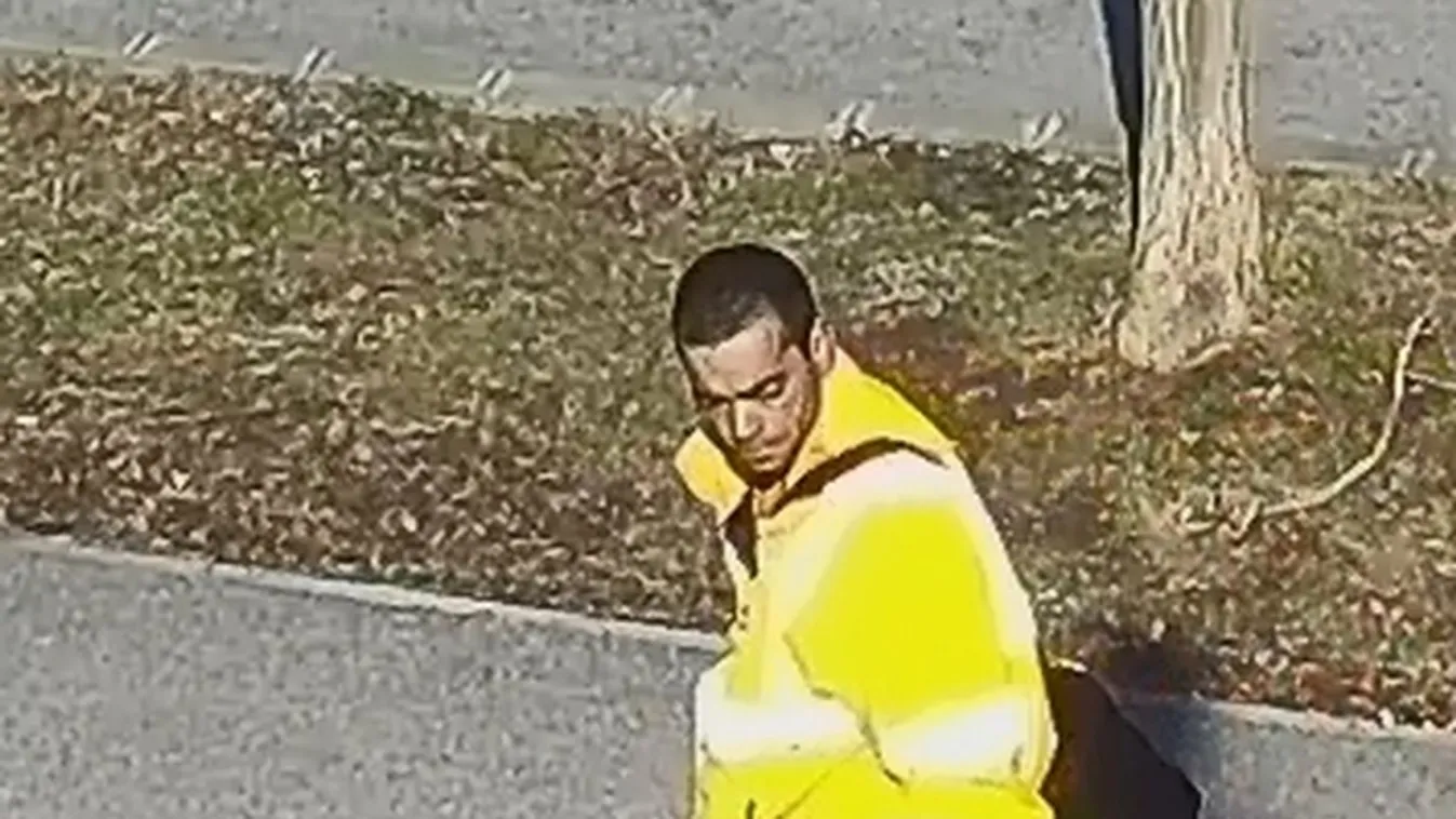 Keressük a rongálót