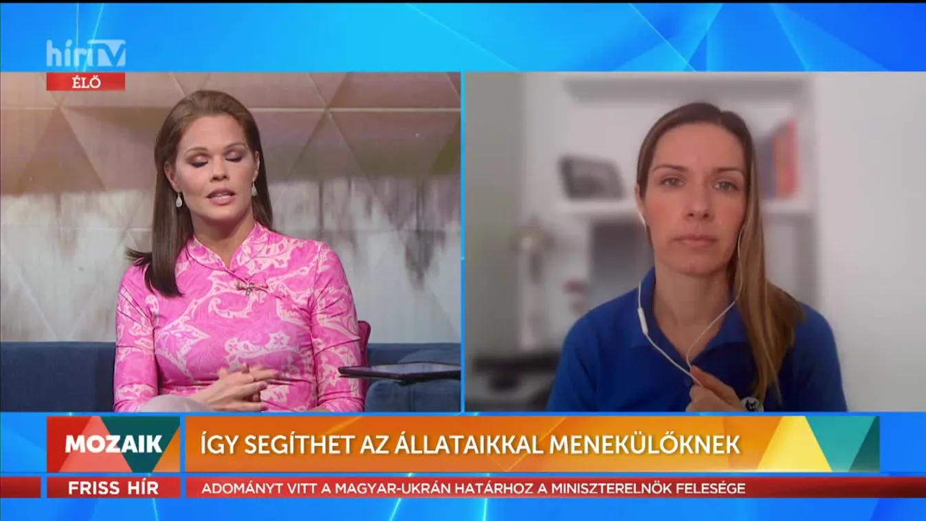 Mozaik - Így segíthet az állataikkal menekülőknek (2022-03-02)