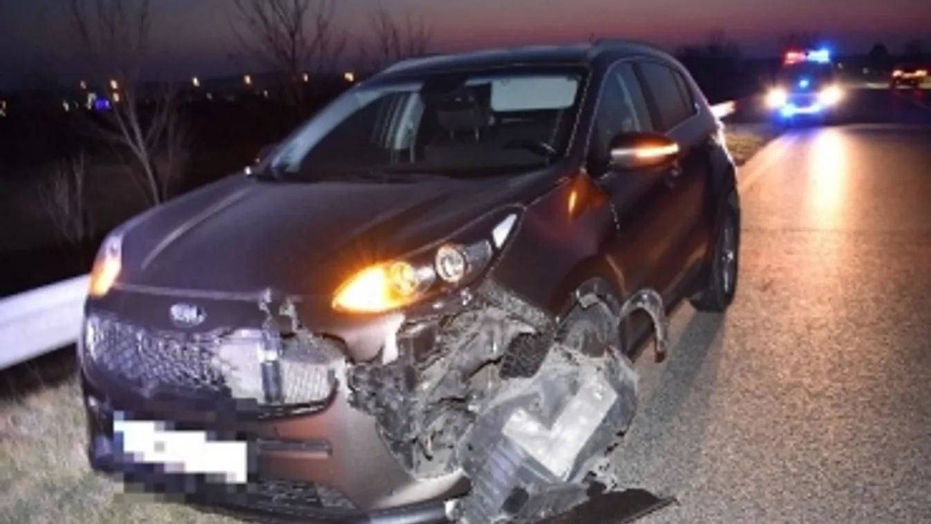 Figyelem, vadveszély!