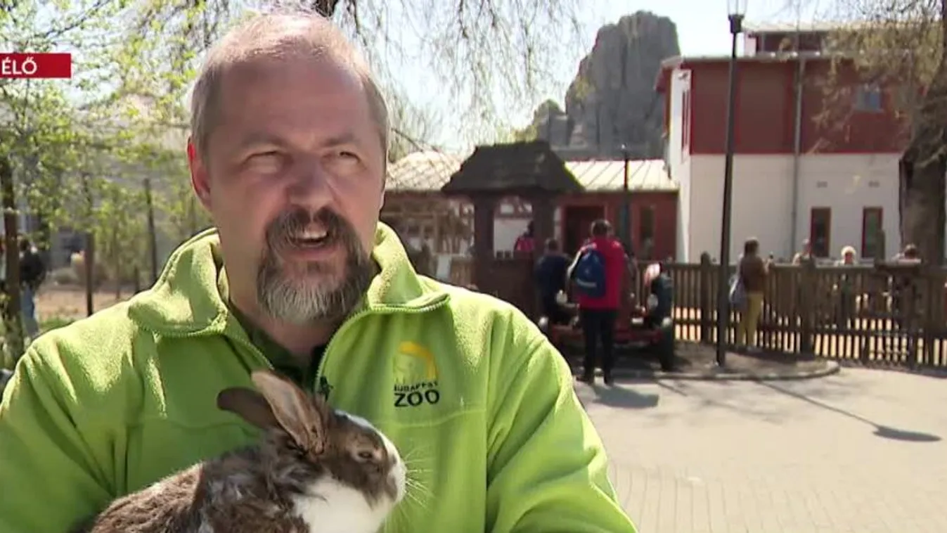 Radar - Nyulat húsvétra? Csak felelősséggel!