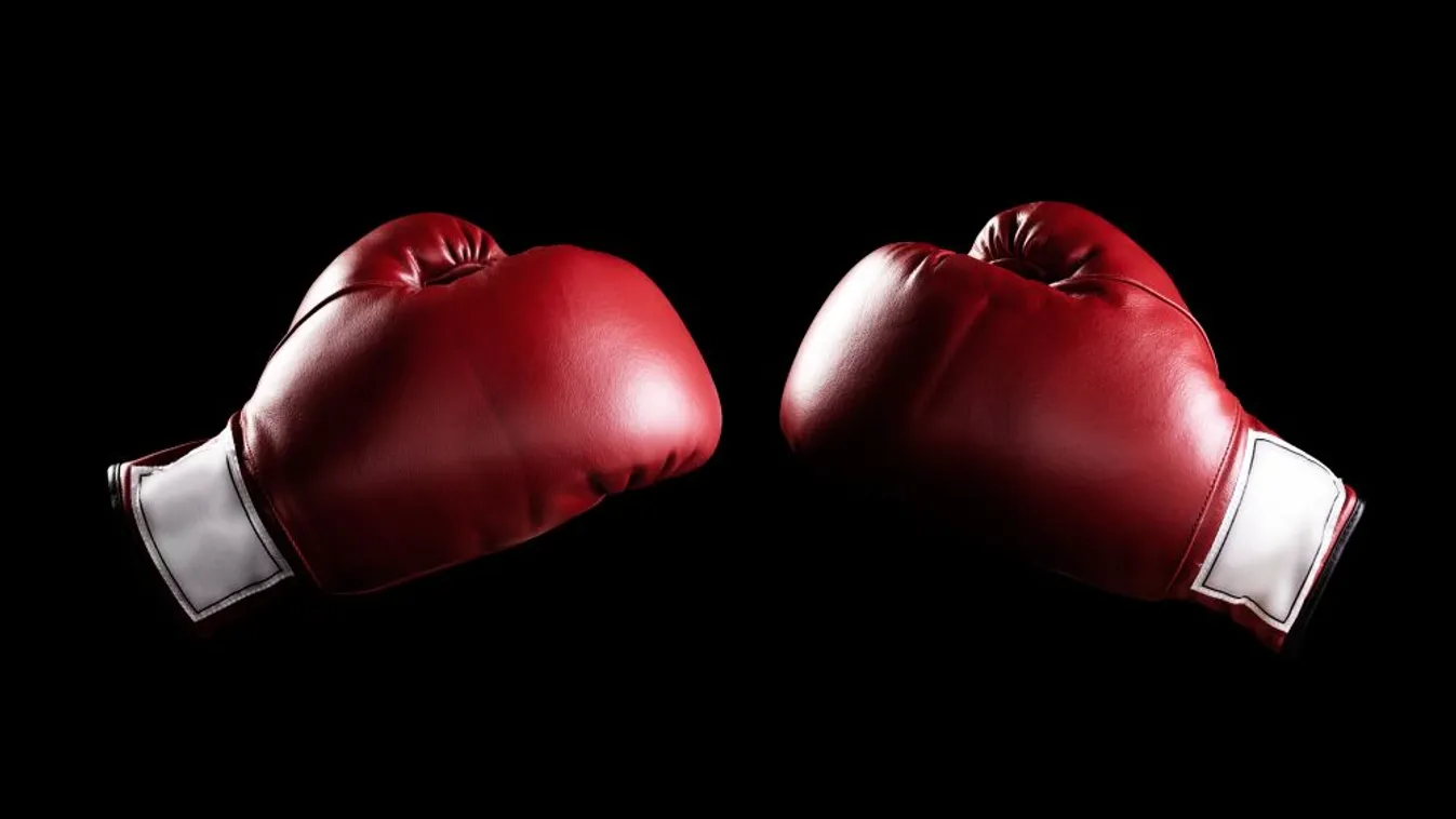 Bacskai Balázs begyűjtötte az IBO nemzetközi bajnoki címét