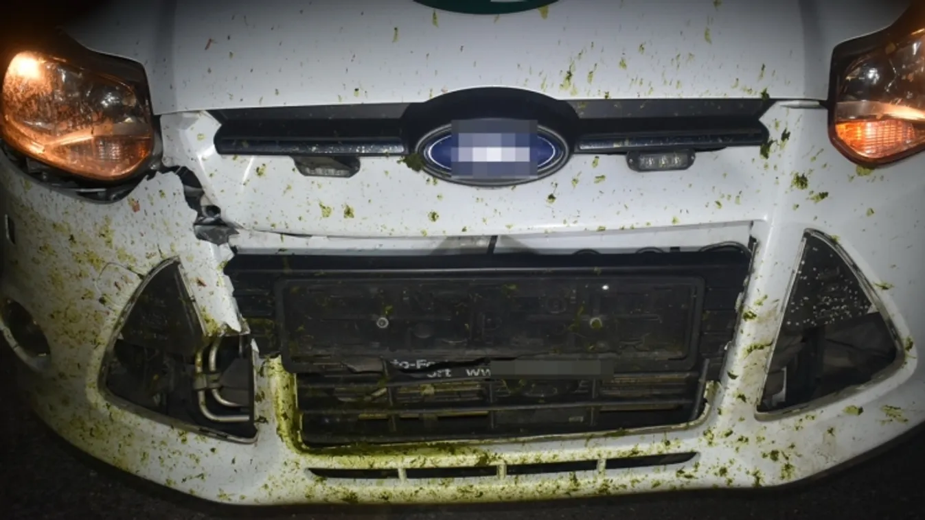 Őzveszély az utakon!