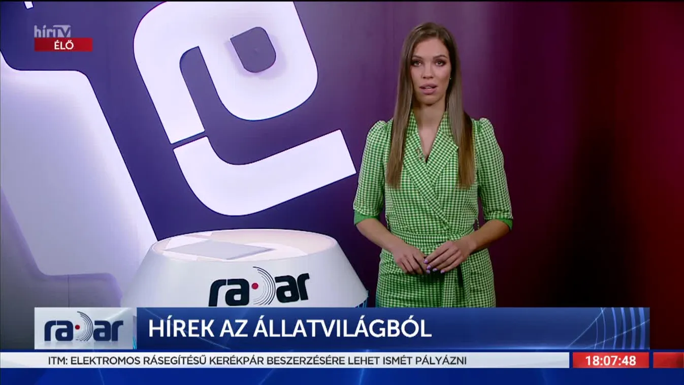 Radar - Hírek az állatvilágból (2022-04-07)