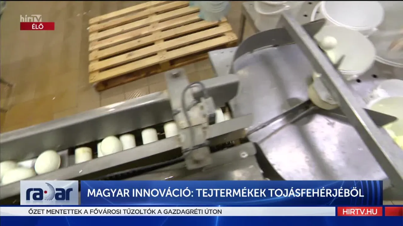 Radar - Magyar innováció: tejtermékek tojásfehérjéből (2022-04-25)