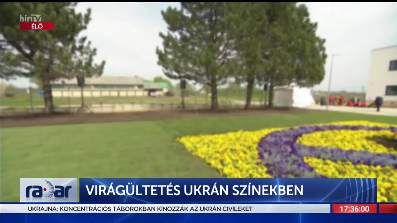 Radar - Virágültetés ukrán színekben (2022-04-26)