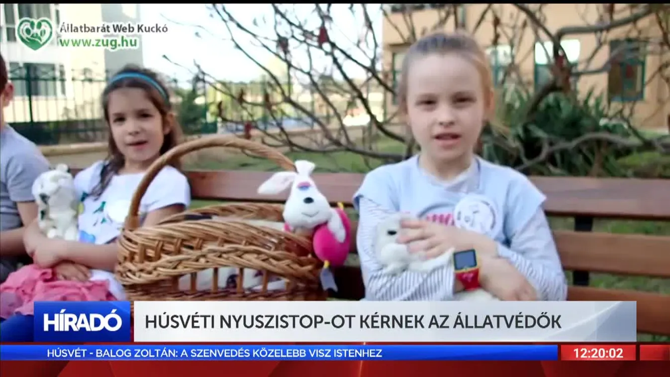 Húsvéti NyusziSTOP-ot kérnek az állatvédők