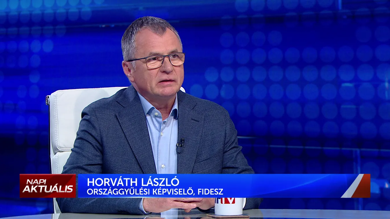 Horváth László: Az emberek nem akarták kockára tenni Magyarország békéjét