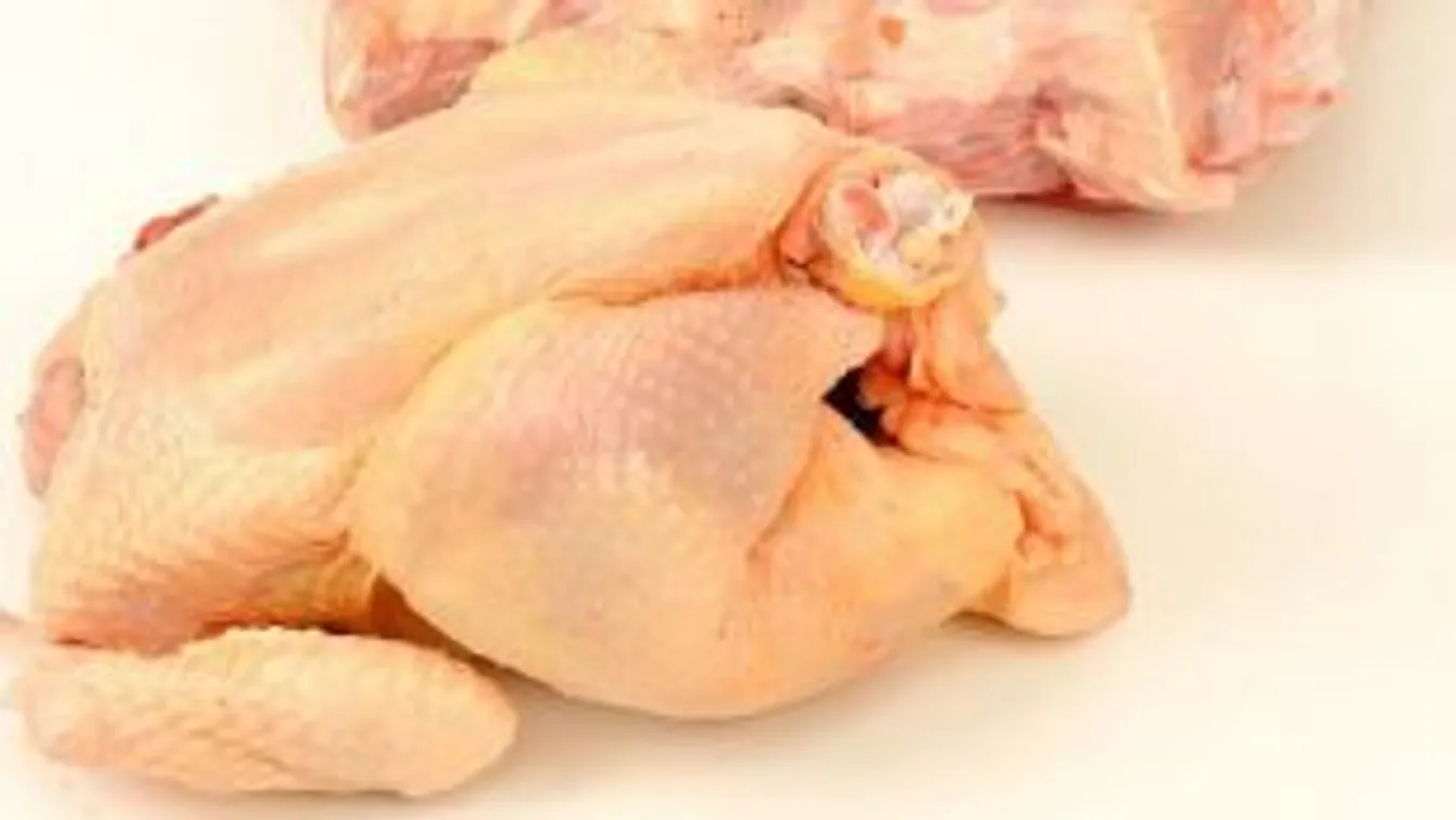 Magyar Nemzet: Segítséget várnak a hazai baromfitartók