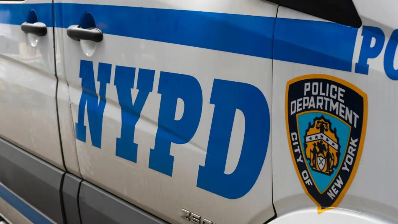 Letartóztattak egy embert az Amerikában meggyilkolt G. Orsolya ügyében