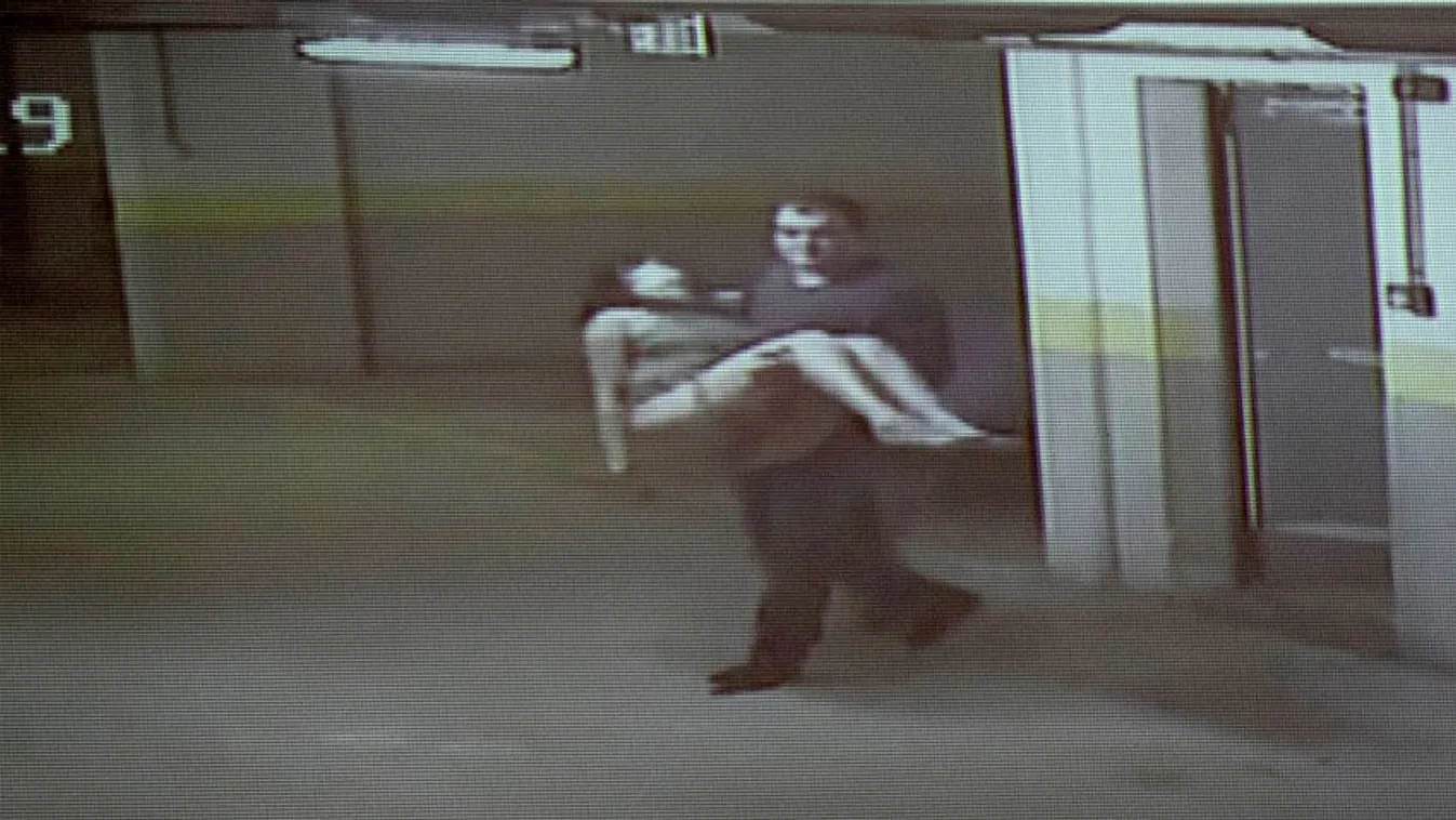 VV Fanni-gyilkosság: életfogytiglani fegyházat vagy öt évet kap B. László?