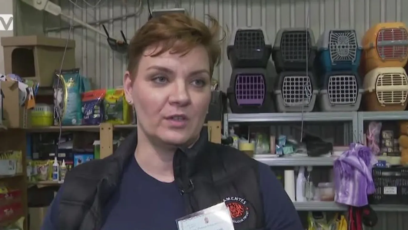 Mozaik - Így segít az Animal Aid