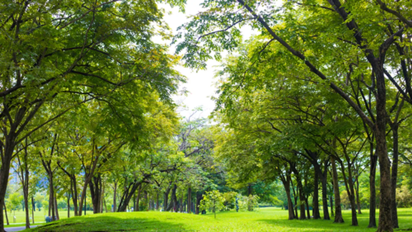 AM: Folyamatosan zöldülnek a települések