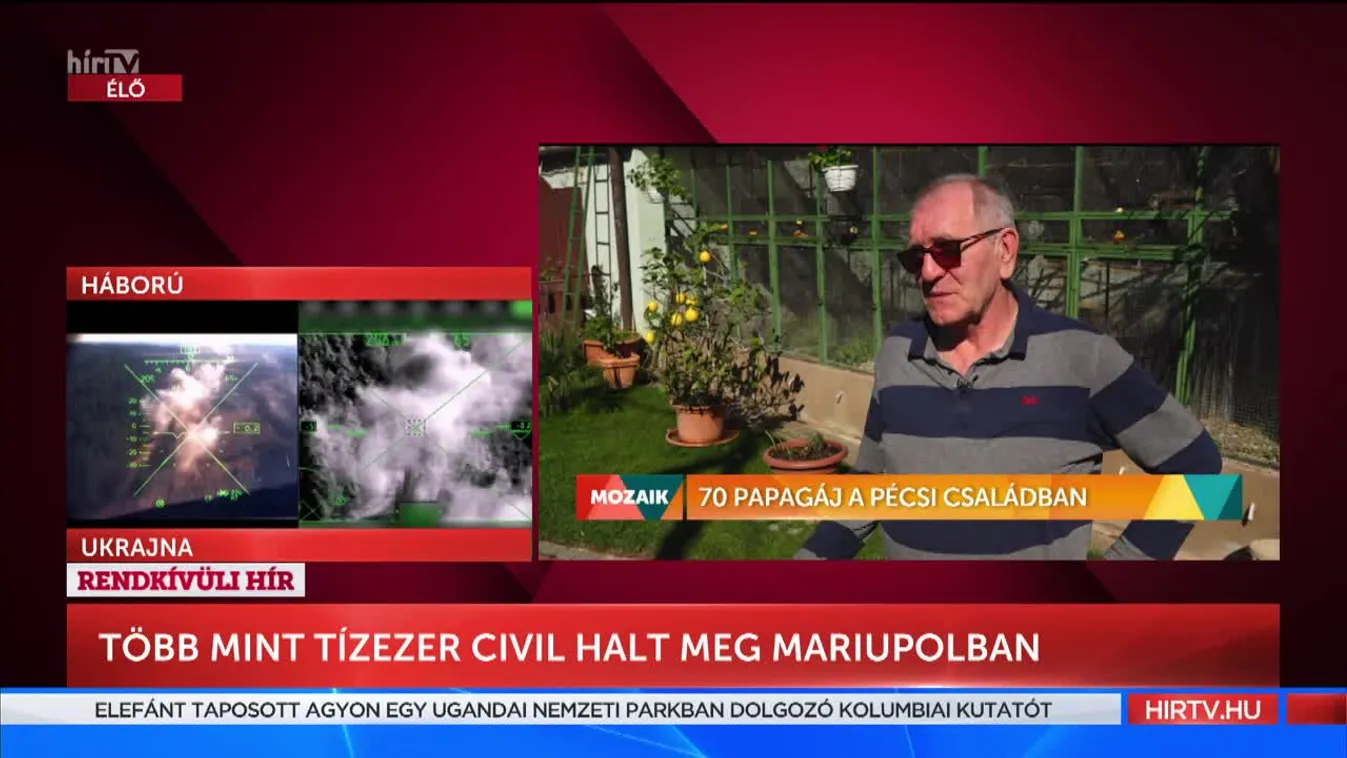 Mozaik - 70 papagáj a pécsi családban (2022-04-12)