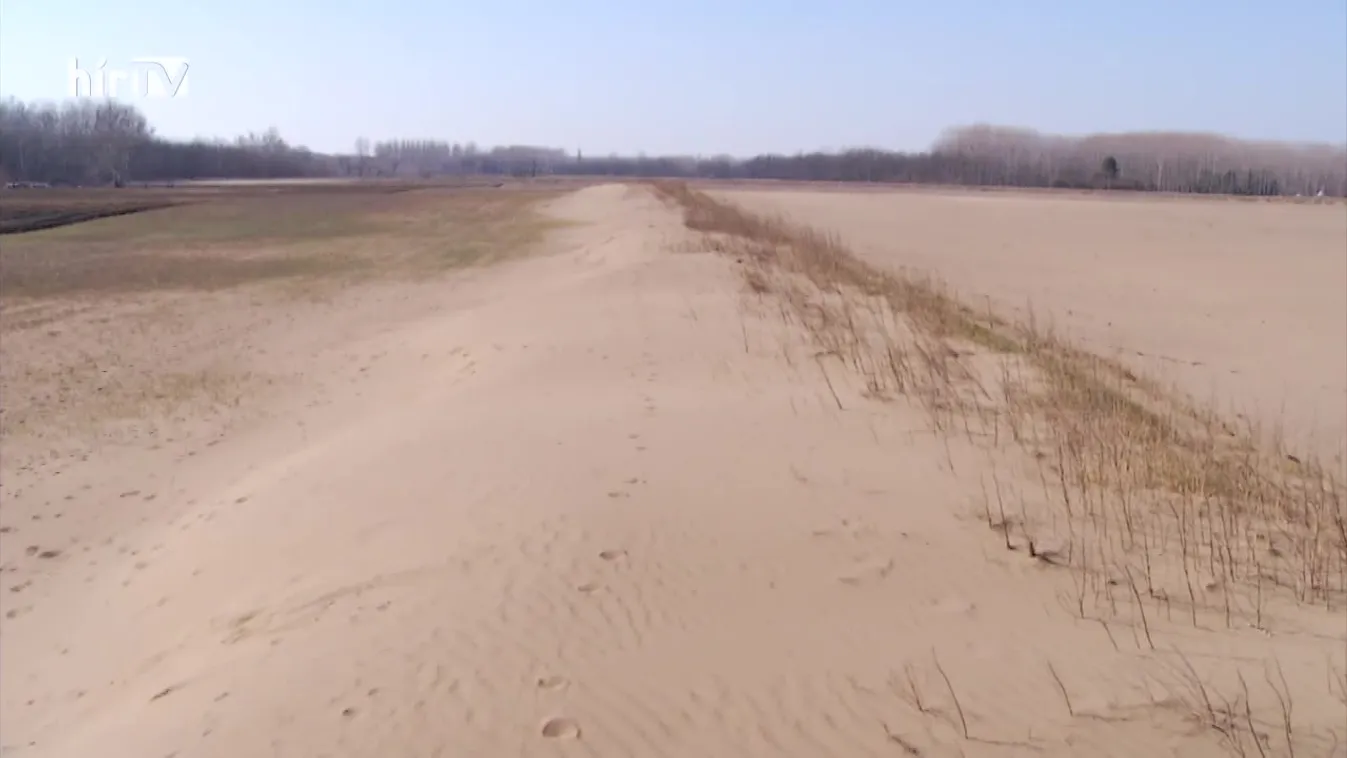 Soroló (2022-04-02)