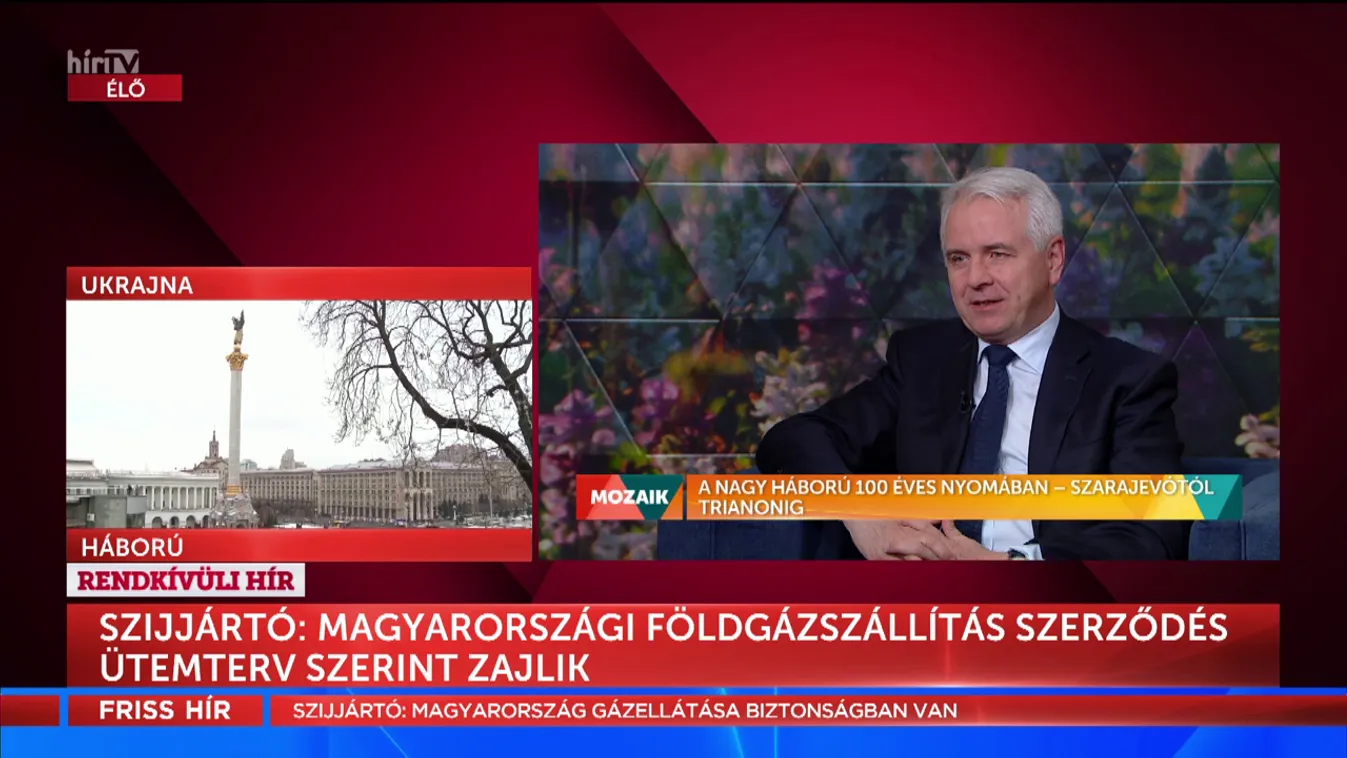 Mozaik: A nagy háború 100 éves nyomában