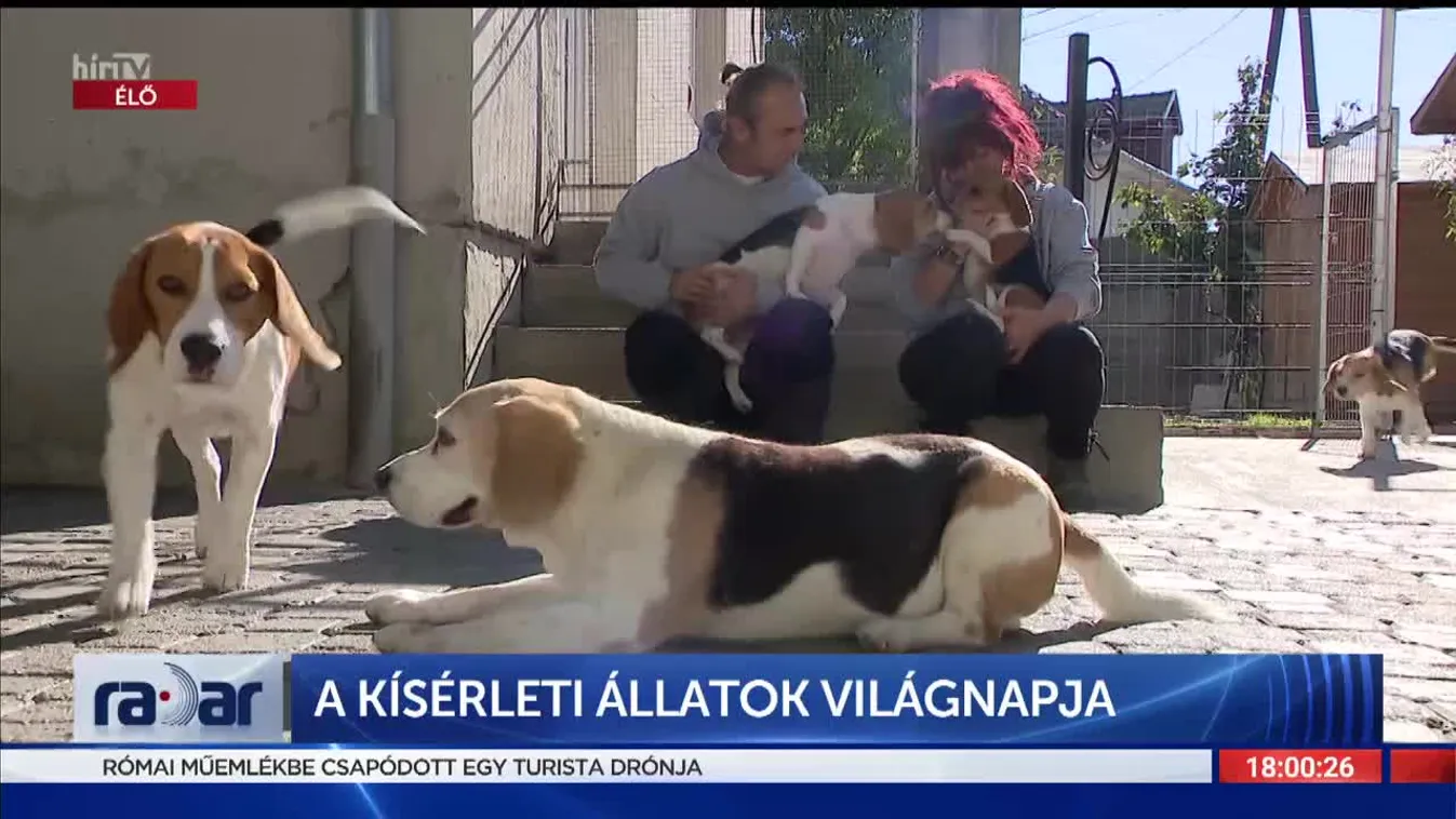 Radar - A kísérleti állatok világnapja (2022-04-25)