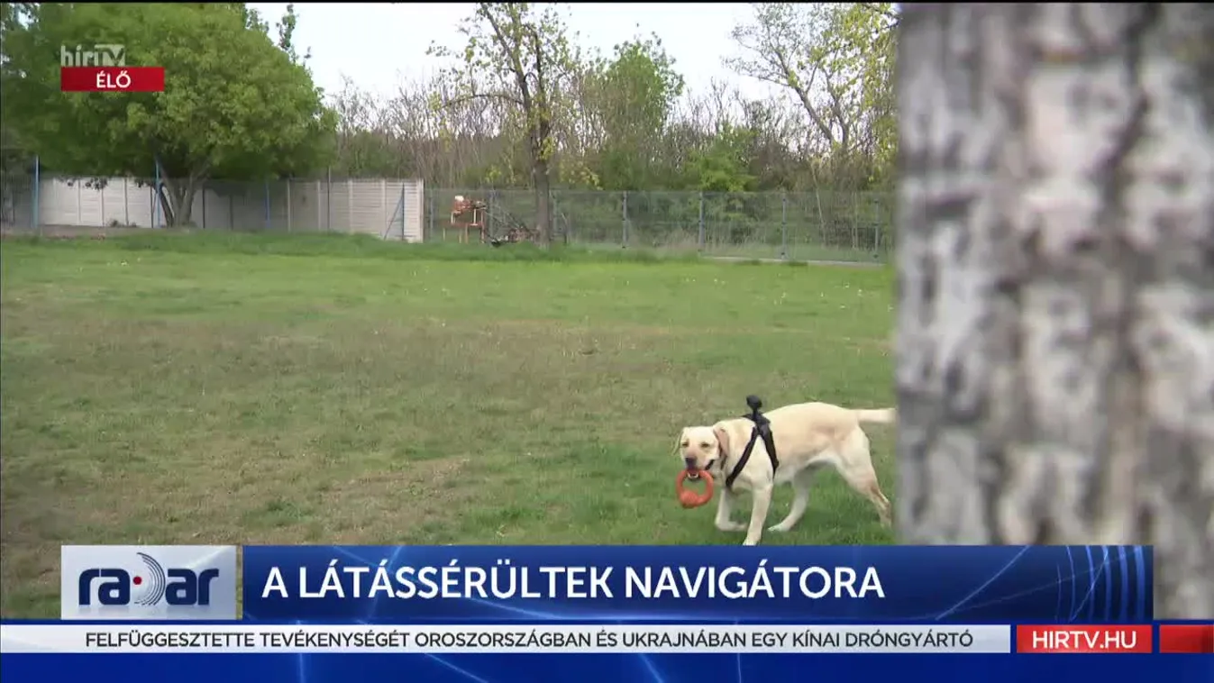 Radar - A látássérültek navigátora (2022-04-27)