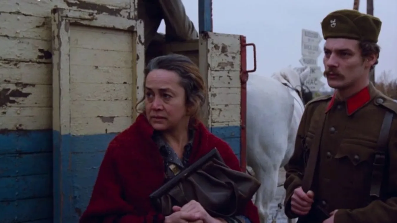 Svenk a világnapok jegyében