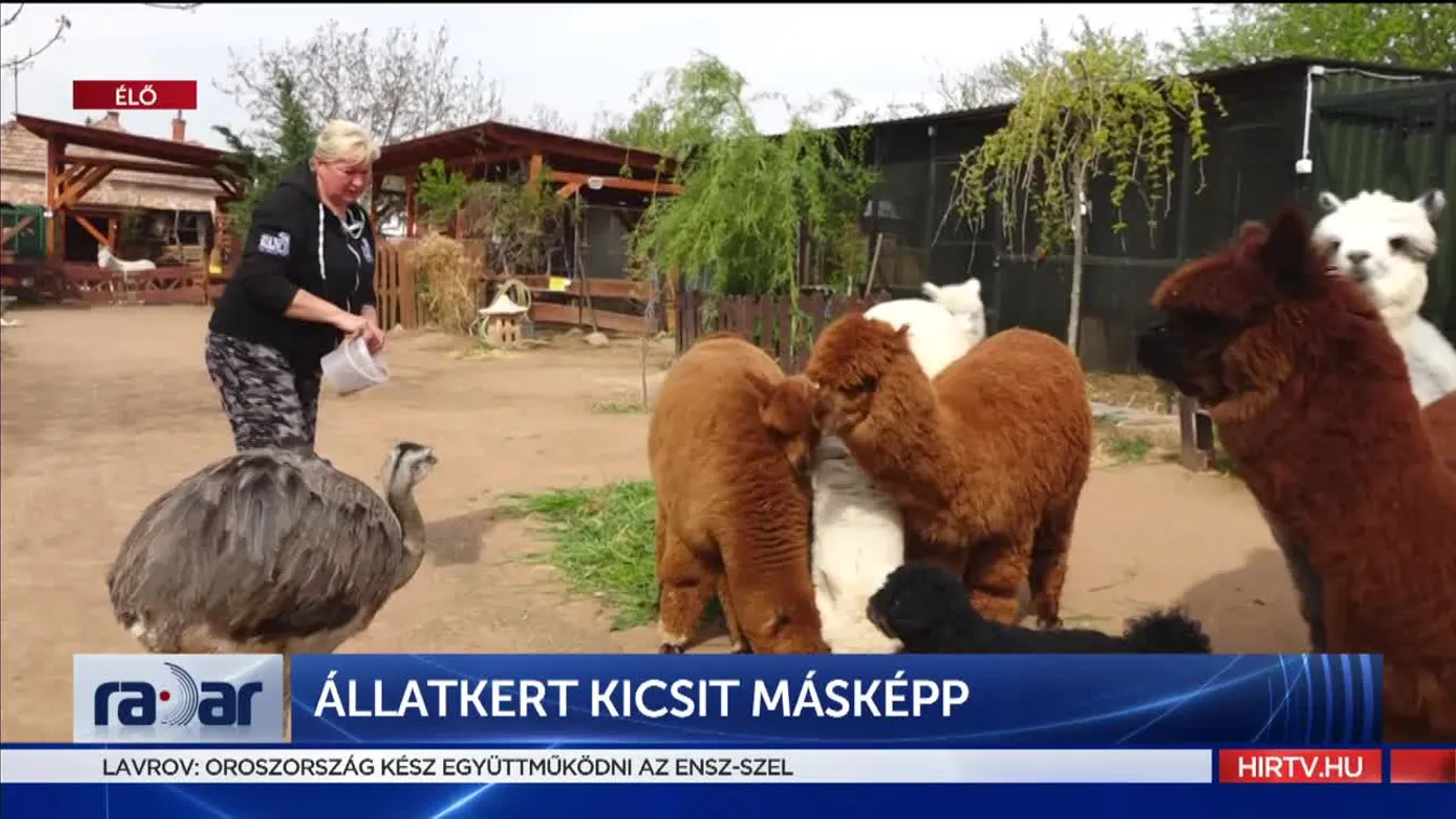 Radar - Állatkert kicsit másképp (2022-04-26)