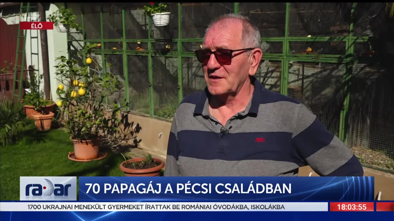 Radar - 70 papagáj a pécsi családban (2022-04-08)