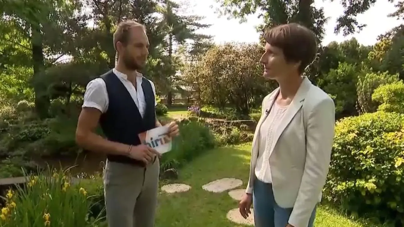 Mozaik - Ékszerdoboz a XIV. kerületben