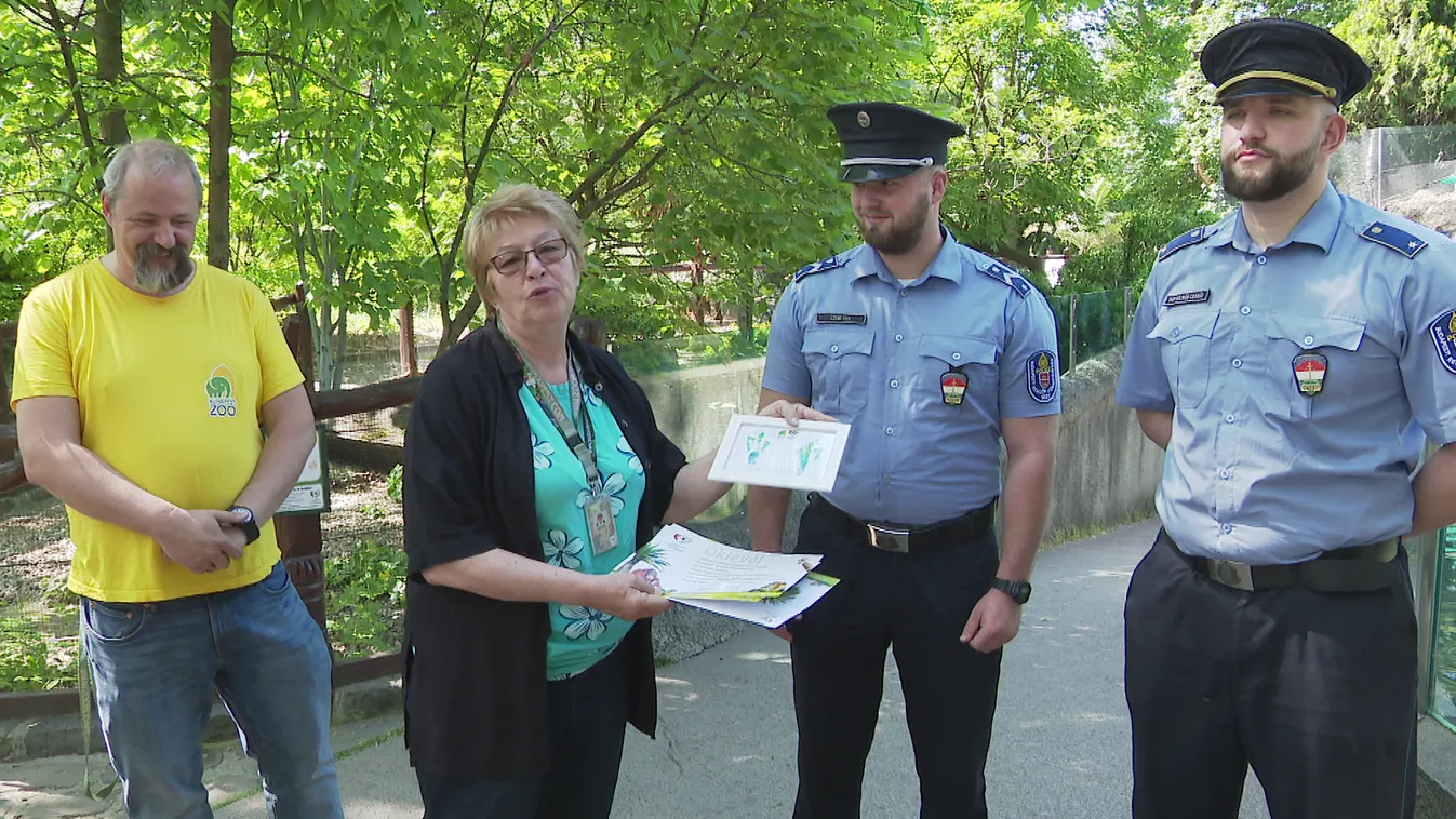 A zuglói rendőrök örökbe fogadták az elkóborolt pingvint, Sanyit