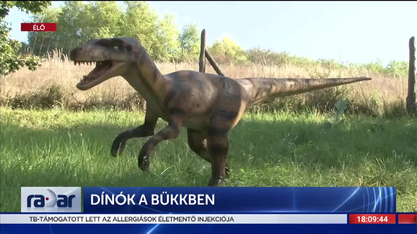 Radar - Dinók a Bükkben (2022-05-18)