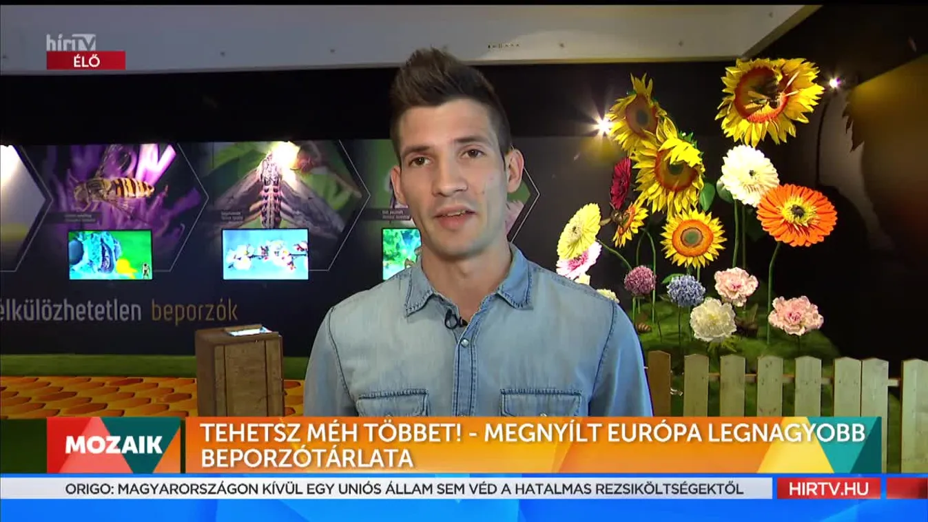Mozaik - Tehetsz méh többet! - Megnyílt Európa legnagyobb beporzótárlata (2022-05-23)
