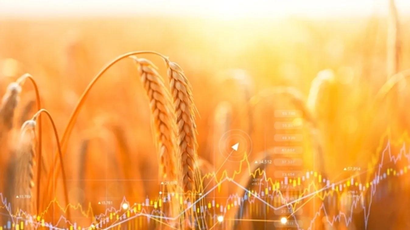 Oroszországban 6,3 százalékra gyorsult a termelői árak növekedése áprilisban havi összevetésben