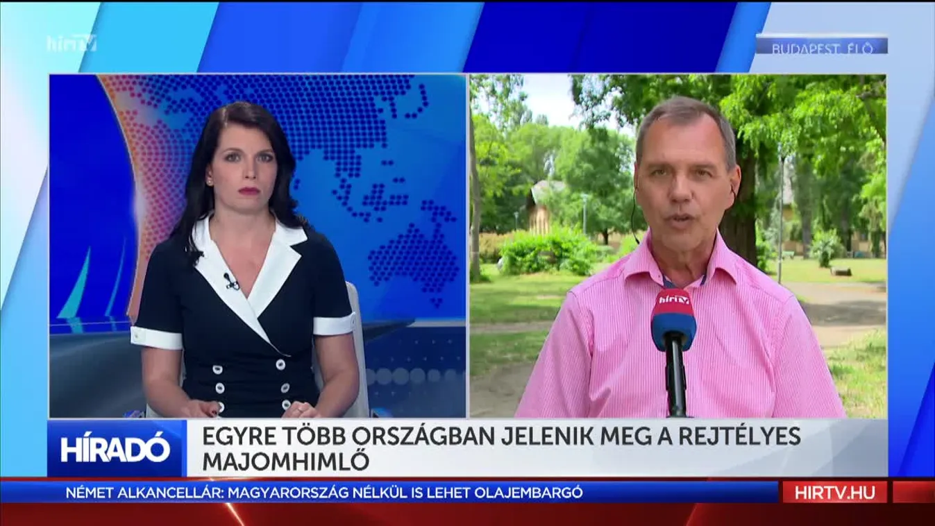 Egyre több országban jelenik meg a rejtélyes majomhimlő