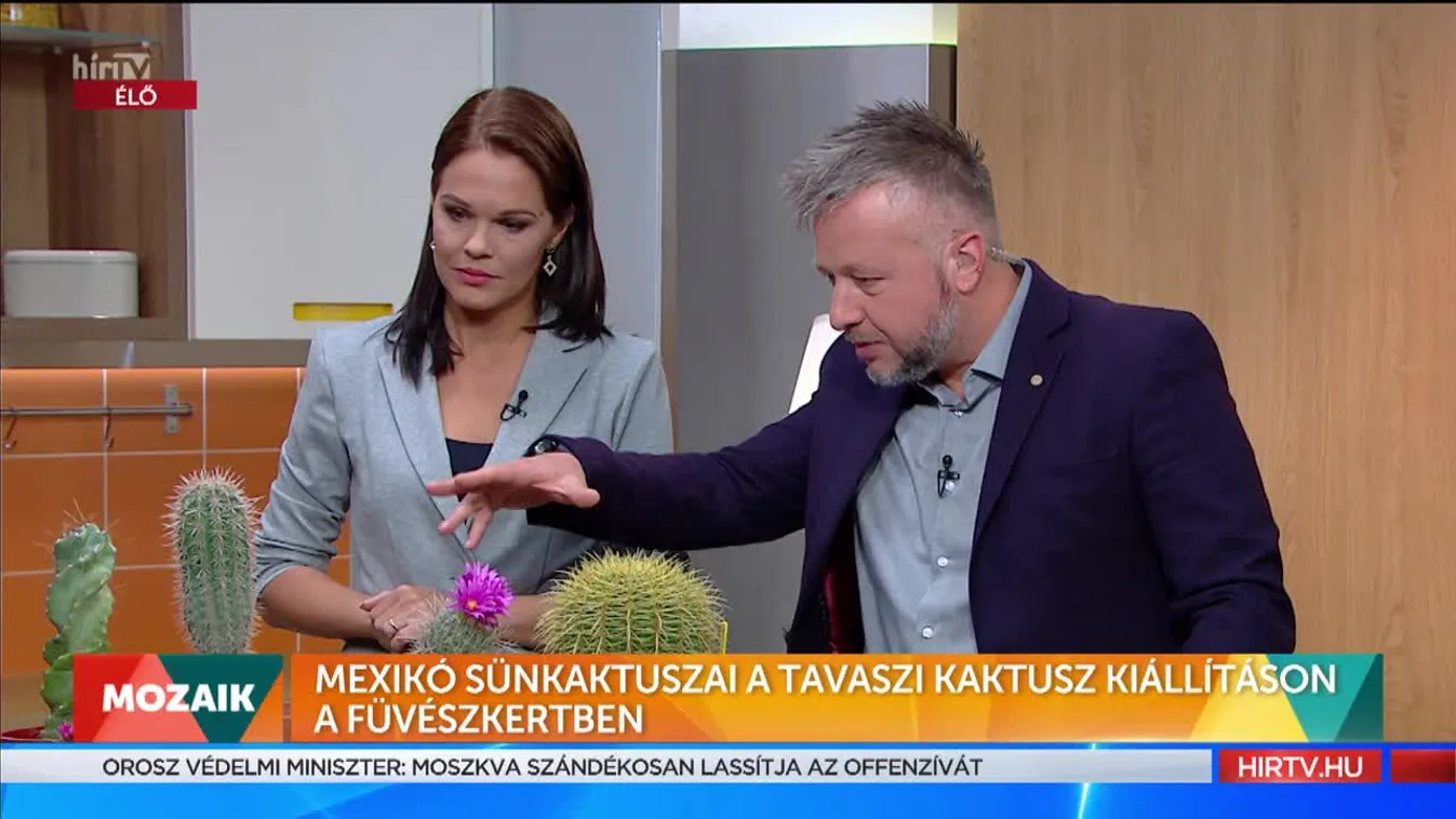 Mozaik - Kaktusz kiállítás a Füvészkertben (2022-05-25)