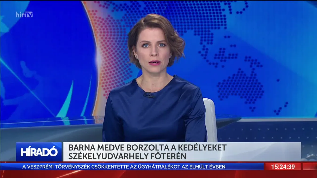 Barna medve borzolta a kedélyeket Székelyudvarhely főterén