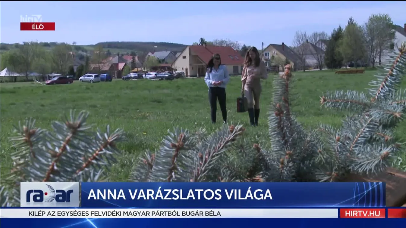 Radar - Anna varázslatos világa (2022-05-03)