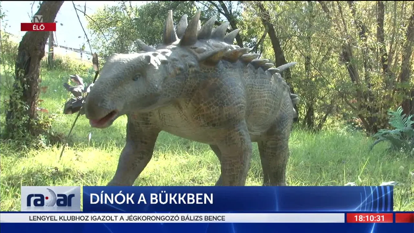 Radar - Dínók a Bükkben