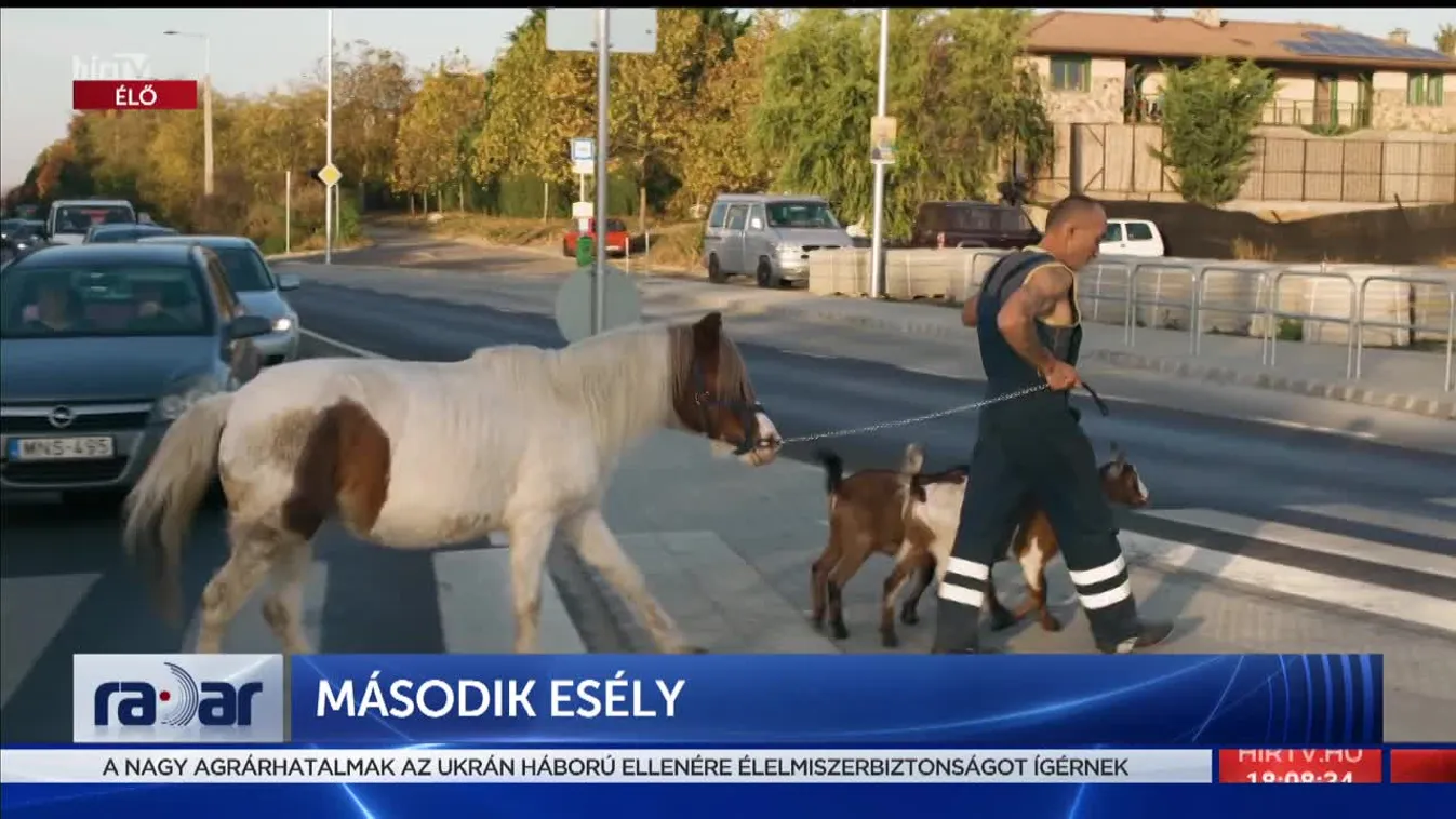 Radar - Második esély (2022-05-06)