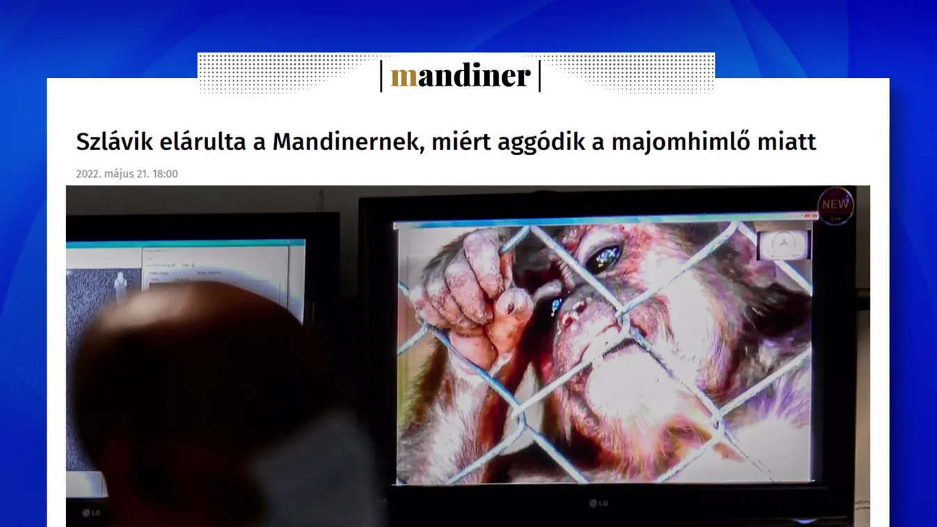 Szlávik: Aggódom a majomhimlő miatt