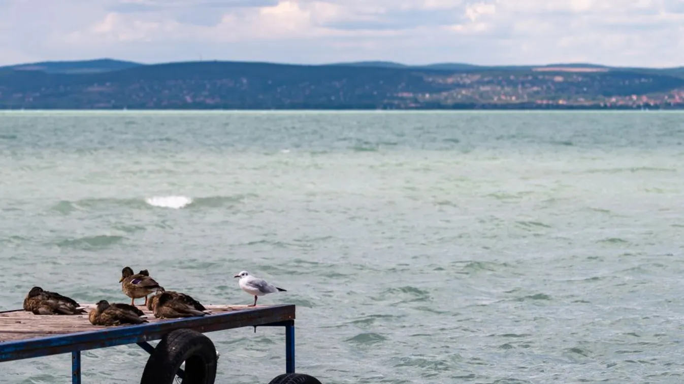 Nincs veszélyben a Balaton, bár jelenleg hiányzik a vízutánpótlás