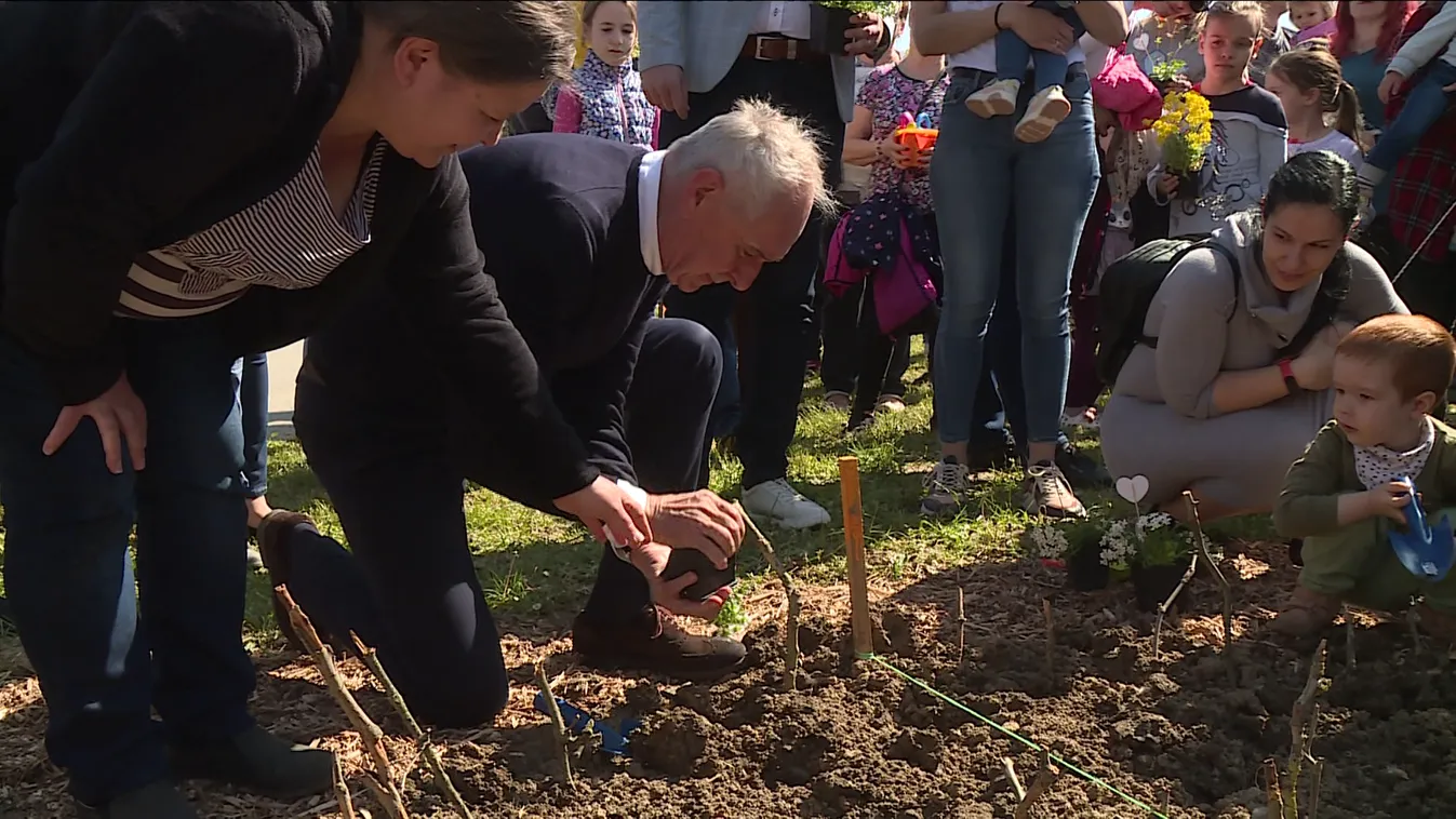 Virágot ültettek a gyerekek Kaposváron anyák napja alkalmából