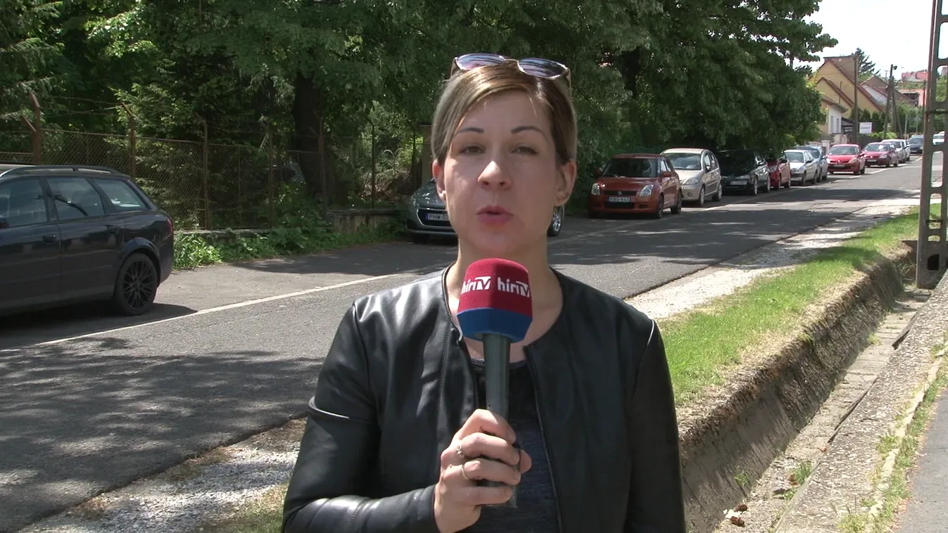 Nem működik Gyurcsány kézi vezérlése Egerben